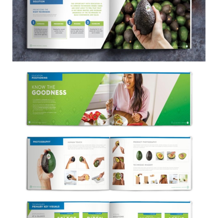 Cover of the Avocados From Mexico Education Brand Playbook