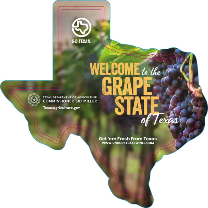 Get ’Em Fresh From Texas postcard: Grapes