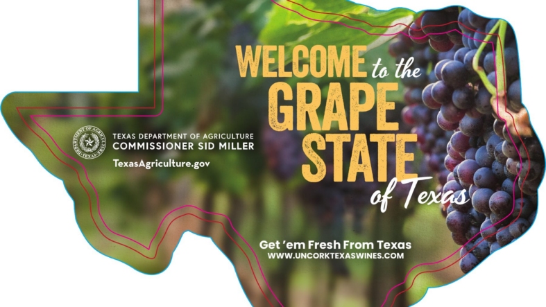 Get ’Em Fresh From Texas postcard: Grapes
